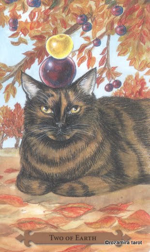 Mystical Cats Tarot